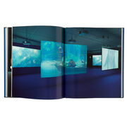 Isaac Julien signed limited edition exhibition book